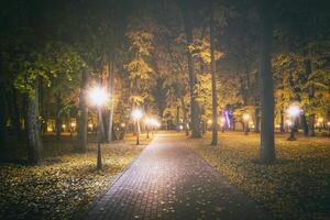 Night park in autumn with fallen yellow leaves.City night park in golden autumn with lanterns, fallen yellow leaves and maple trees. Vintage film aesthetic. photo