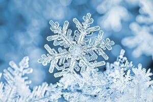 A snowflake under a microscope in the shape of a six-pointed star. photo