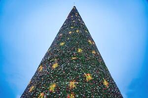 Artificial Christmas tree in garlands at twilight. photo