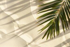 Banner of Palm leaf on sand, top view, copy space. Summertime background. Flatlay. photo