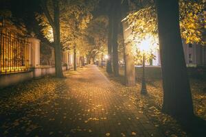 noche parque en otoño con caído amarillo hojas.ciudad noche parque en dorado otoño con linternas, caído amarillo hojas y arce arboles Clásico película estético. foto