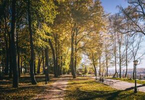 Leaf fall in the city park in golden autumn. Landscape with maples and other trees on a sunny day. Vintage film aesthetic. photo