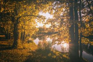 Sunrise near the pond with fog above it and oak with yellow leaves. Vintage film aesthetic. photo