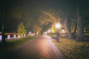 noche parque en otoño con caído amarillo hojas.ciudad noche parque en dorado otoño con linternas, caído amarillo hojas y arce arboles Clásico película estético. foto