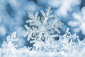 A snowflake under a microscope in the shape of a six-pointed star. photo