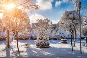 Sunset or dawn in a winter city park with trees covered with snow and ice. photo