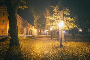 noche parque en otoño con caído amarillo hojas.ciudad noche parque en dorado otoño con linternas, caído amarillo hojas y arce arboles Clásico película estético. foto