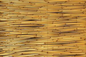 Texture of oriental bamboo curtains. Abstract background. photo