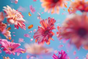 Abstract explosion of many colorful flowers and petals on a uniform background. photo