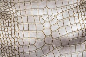 White crocodile or aligator leather texture. Abstract hide background. photo