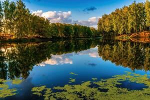 Sunset or dawn on a pond with birch trees along the banks and a cloudy sky reflected in the water. photo