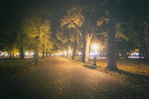 Night park in autumn with fallen yellow leaves.City night park in golden autumn with lanterns, fallen yellow leaves and maple trees. Vintage film aesthetic. photo