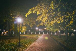 noche parque en otoño con caído amarillo hojas.ciudad noche parque en dorado otoño con linternas, caído amarillo hojas y arce arboles Clásico película estético. foto