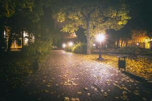 noche parque en otoño con caído amarillo hojas.ciudad noche parque en dorado otoño con linternas, caído amarillo hojas y arce arboles Clásico película estético. foto