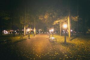 noche parque en otoño con caído amarillo hojas.ciudad noche parque en dorado otoño con linternas, caído amarillo hojas y arce arboles Clásico película estético. foto