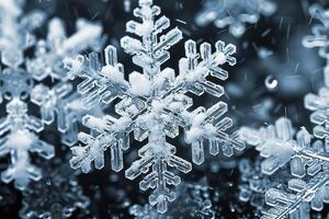 A snowflake under a microscope in the shape of a six-pointed star. photo