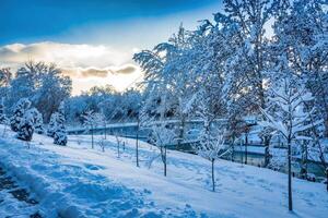 Sunset or dawn in a winter city park with trees covered with snow and ice. photo