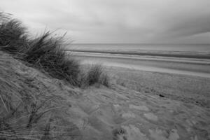 dunas en el costa de Delaware haan, Bélgica foto