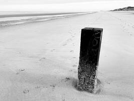 Wooden pile at low tide with beach photo