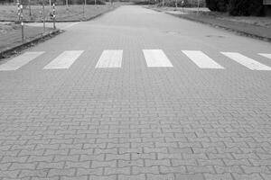 crosswalk on empty road photo