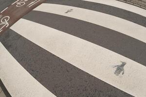 crosswalk on a wet road photo