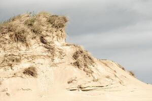 dune landscape on the north sea in the netherlands photo