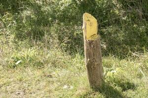 yellow wooden post to mark the way photo