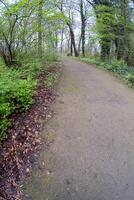 Desolate path in the park photo