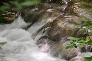 montaña corriente en el bosque - largo exposición y fluido agua foto