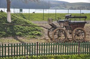 A wooden horse drawn carriage in the back of the stallion photo