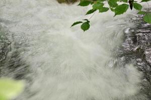 Mountain stream in the forest - long exposure and flowing water photo