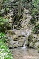 Mountain stream in the forest - long exposure and flowing water photo