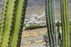 Wonderful corners of Gran Canaria, Maspalomas, Roque Nublo, Las Palmas, Puerto Mogan, Mirador del Balcon, and Playa de Amadores photo