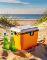 Ice box, drink cooler, portable fridge on the beach, photo