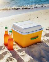 Ice box, drink cooler, portable fridge on the beach, photo