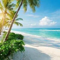 Tropical beach, ocean shore, palms, blue sea, vacation concept photo