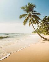 Tropical beach, ocean shore, palms, blue sea, vacation concept photo