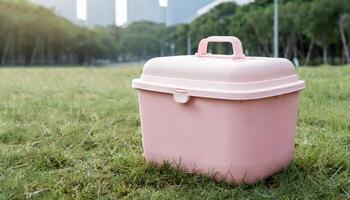 Ice box drink cooler mockup, on grass in urban parque photo