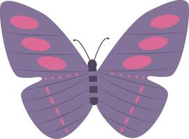 Adorable Butterfly Illustration in Flat Cartoon Design. Isolated on White Background. vector