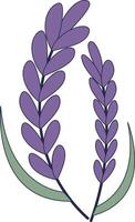 Hand Drawn Floral Botanical Branch. Isolated Illustration vector