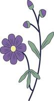 Hand Drawn Floral Botanical Branch. Isolated Illustration vector