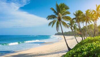Tropical beach, ocean shore, palms, blue sea, vacation concept photo