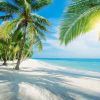 Tropical beach, ocean shore, palms, blue sea, vacation concept photo