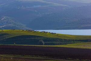 the green hill in spring season photo