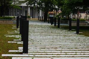 Pedestrian path in a park. photo