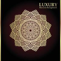 Creative luxury ornamental mandala pattern drawing art design vector