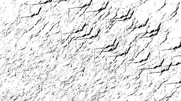 grunge negro y blanco antecedentes. textura de papas fritas, grietas, arañazos, rasguños, polvo, suciedad. oscuro monocromo superficie. antiguo Clásico modelo. vector