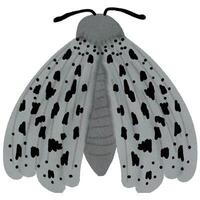 cute little moths vector