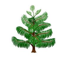 Cartoon jungle rainforest tree with lush foliage vector