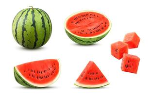 3D realistic watermelon fruit, whole and slice vector